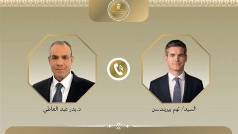 بوابة المصريين