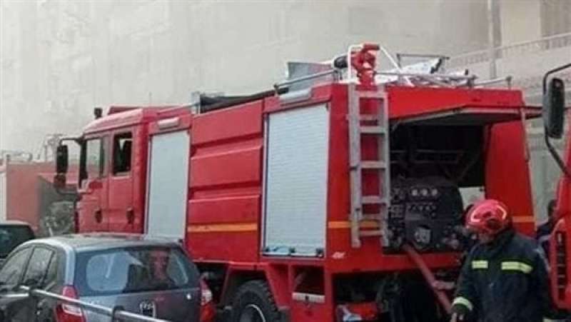 بوابة المصريين