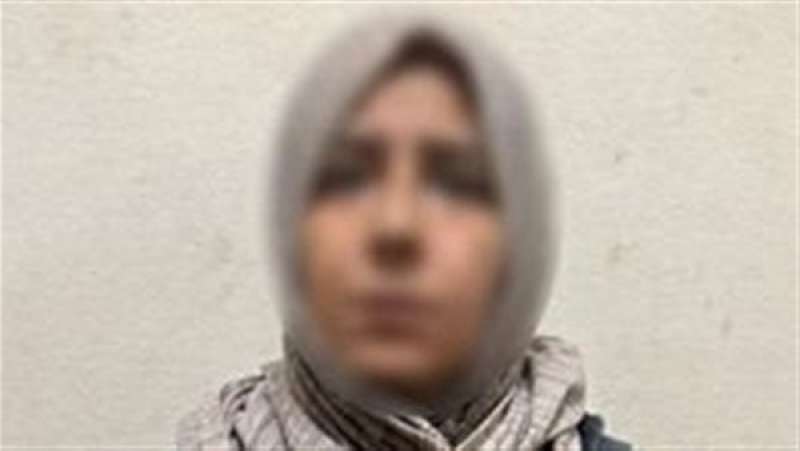 بوابة المصريين