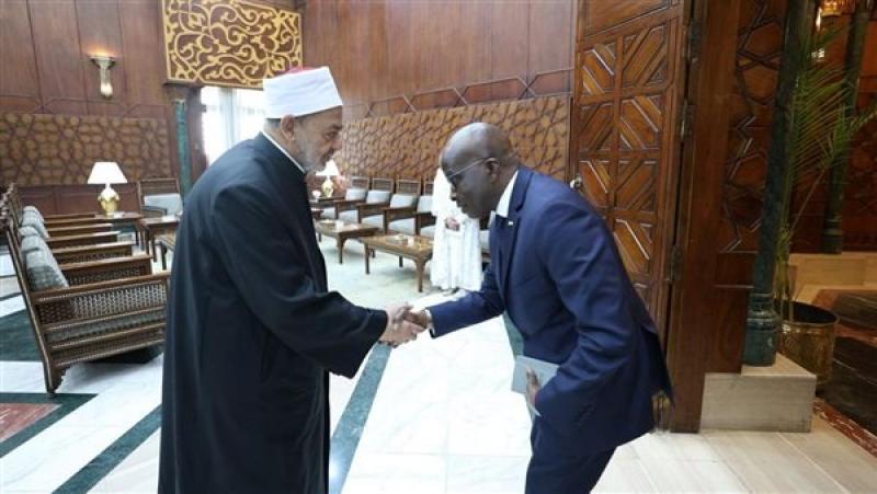 بوابة المصريين