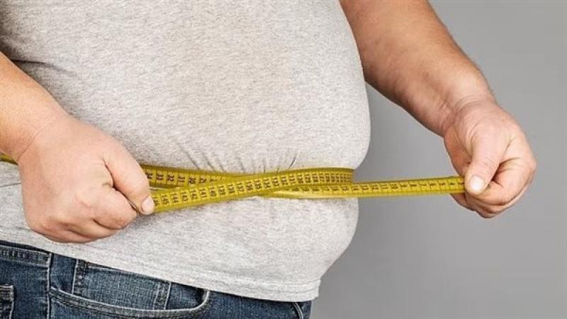 بوابة المصريين