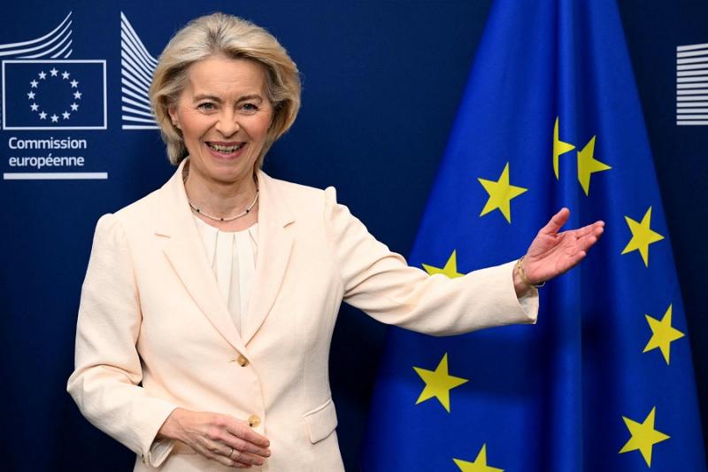 بوابة المصريين