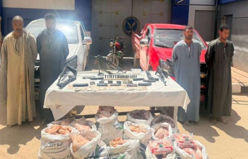 بوابة المصريين