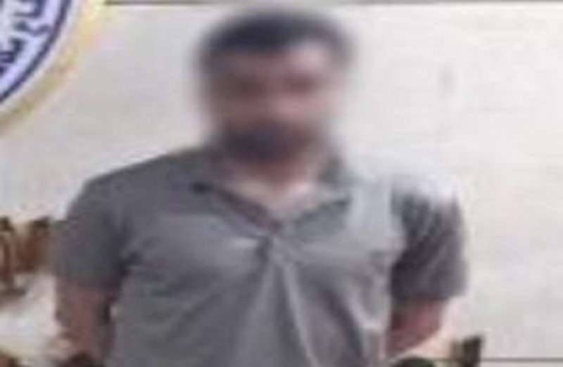 بوابة المصريين