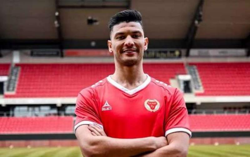 بوابة المصريين