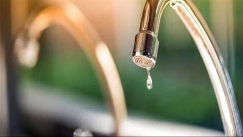 بوابة المصريين