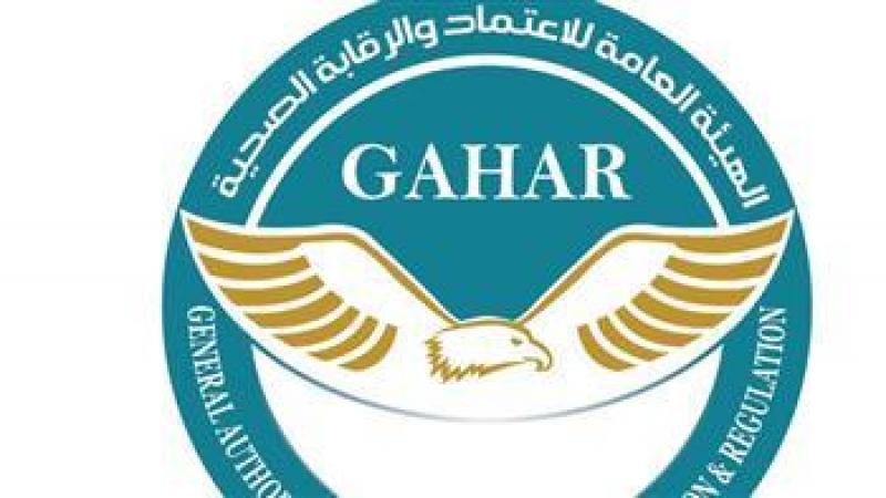 بوابة المصريين