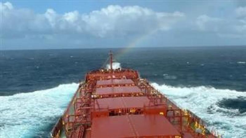 بوابة المصريين