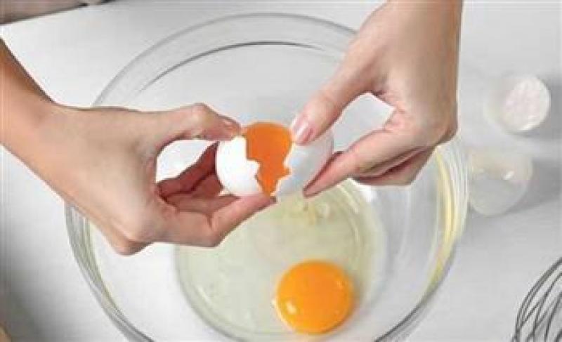 بوابة المصريين