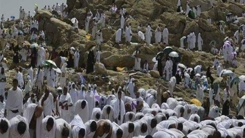 بوابة المصريين