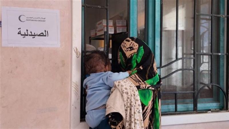 بوابة المصريين