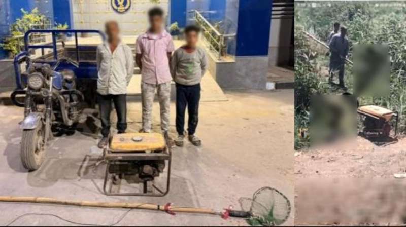 بوابة المصريين