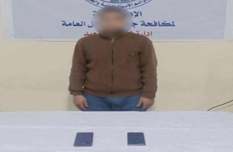 بوابة المصريين