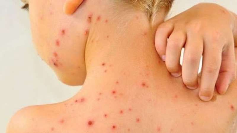 بوابة المصريين