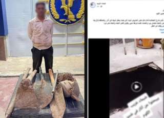 ضبط شخص للتنقيب والتسبب في أضرار بشقة سيدة في شبين الكوم
