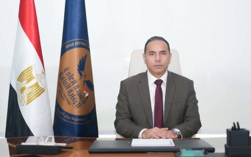 بوابة المصريين