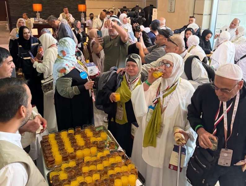 بوابة المصريين