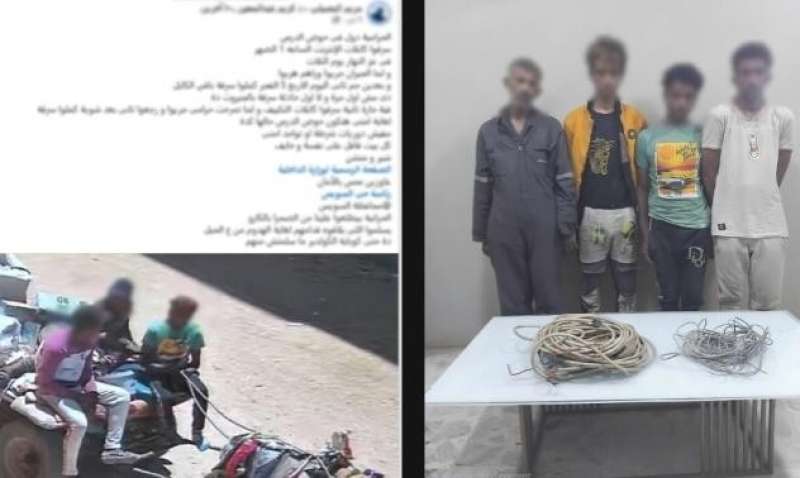 بوابة المصريين