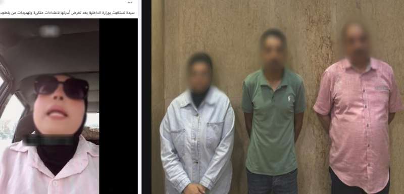 بوابة المصريين