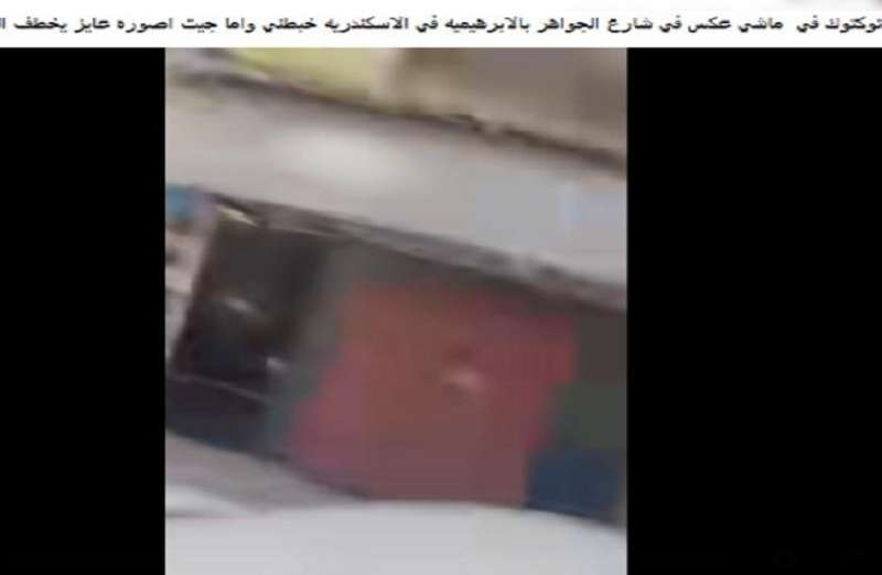 بوابة المصريين