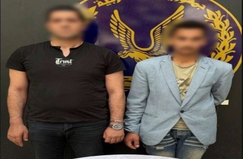 بوابة المصريين