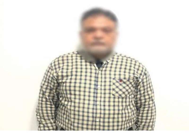 بوابة المصريين