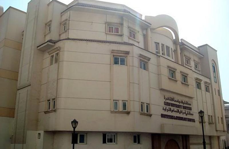 بوابة المصريين