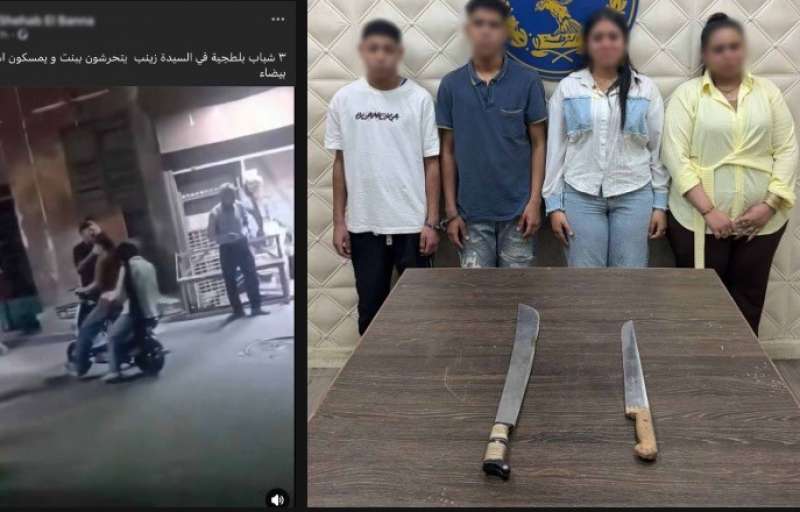 بوابة المصريين
