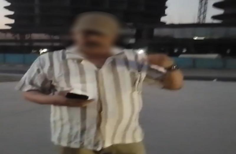 بوابة المصريين
