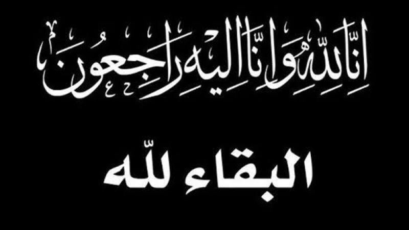 بوابة المصريين