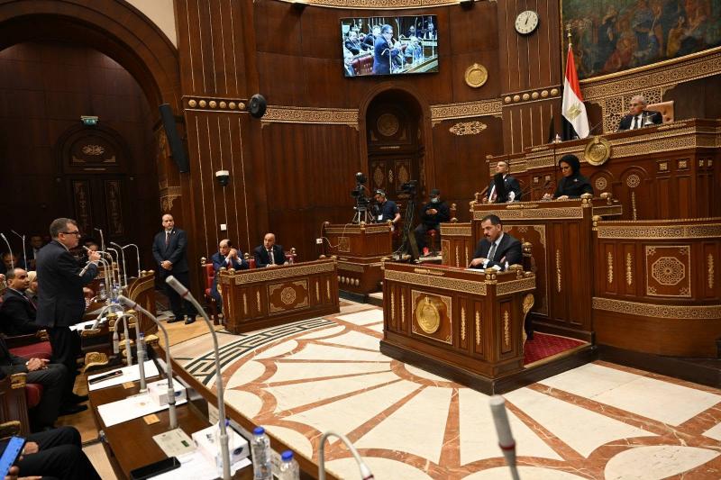بوابة المصريين