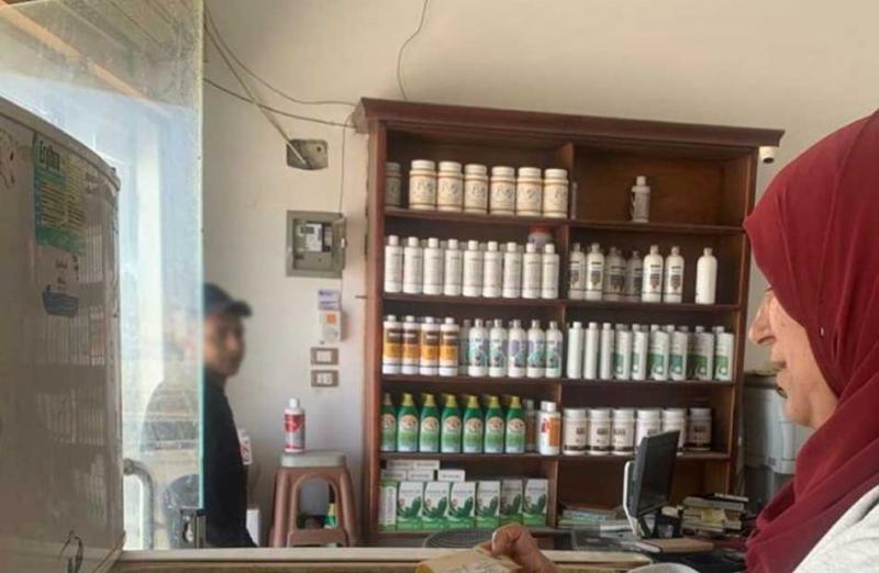 بوابة المصريين