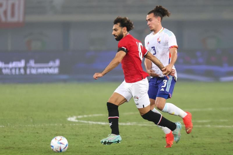 بوابة المصريين