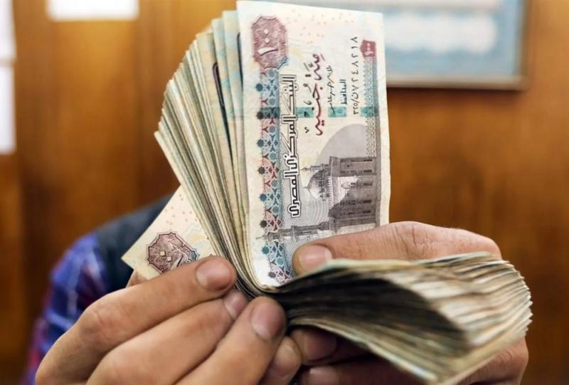 بوابة المصريين