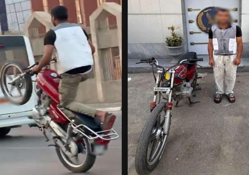 بوابة المصريين
