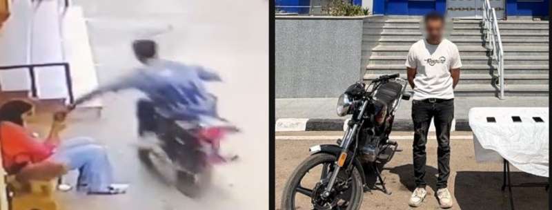 بوابة المصريين