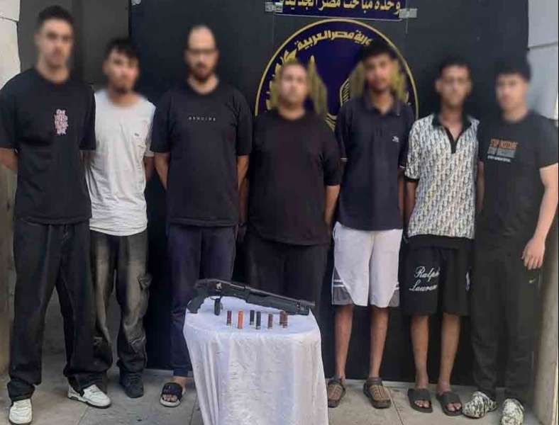 بوابة المصريين