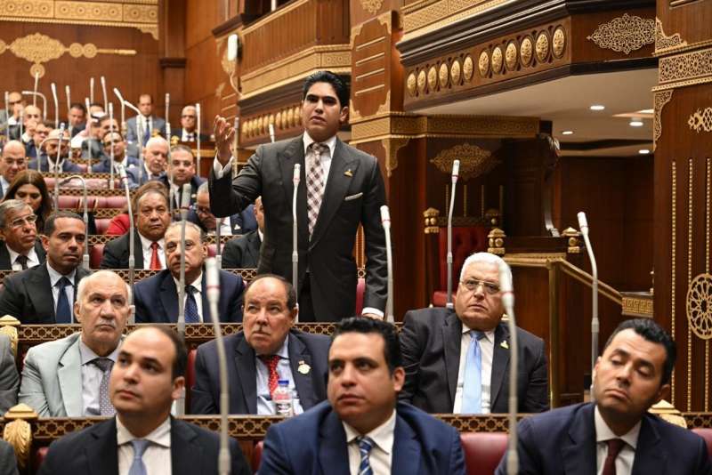 بوابة المصريين