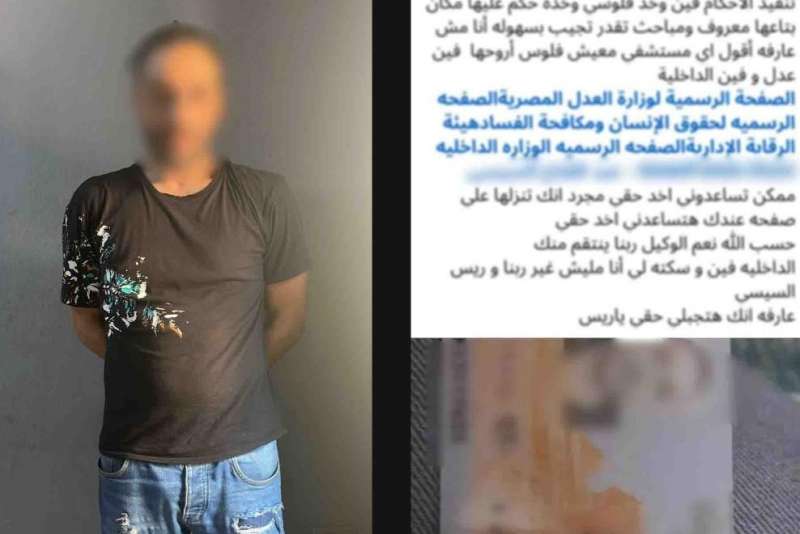 بوابة المصريين