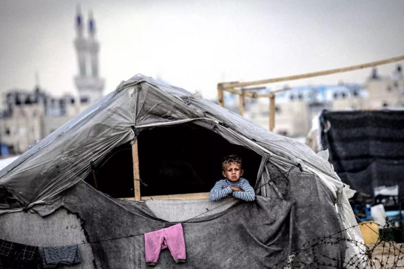 بوابة المصريين