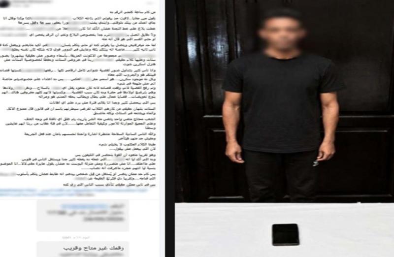 بوابة المصريين