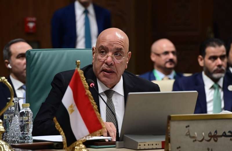 بوابة المصريين