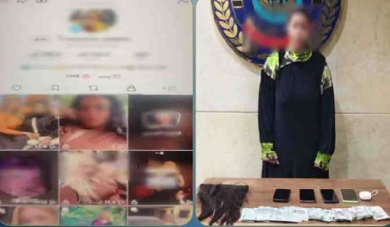 بوابة المصريين