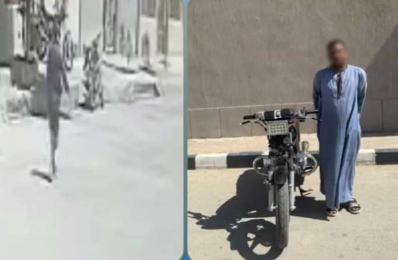 بوابة المصريين