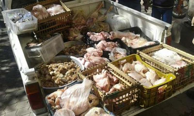 بوابة المصريين