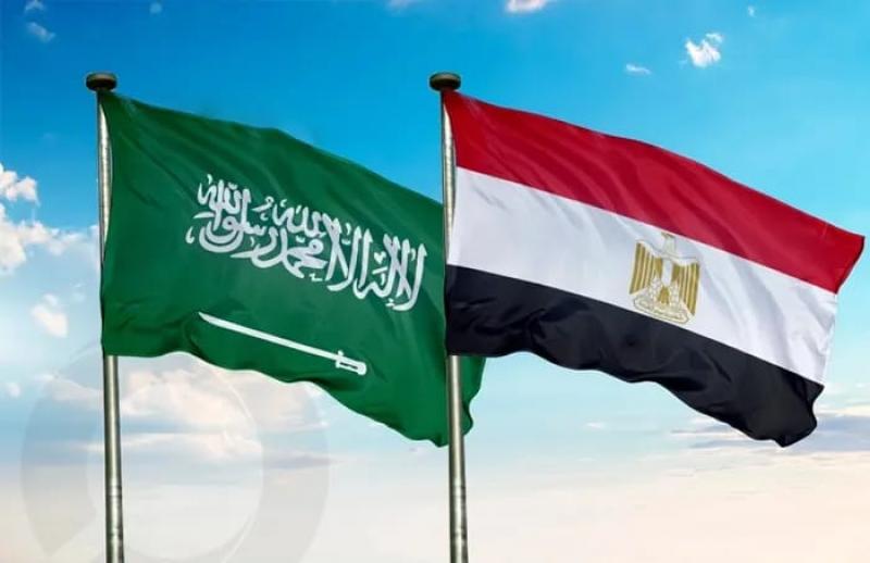 بوابة المصريين