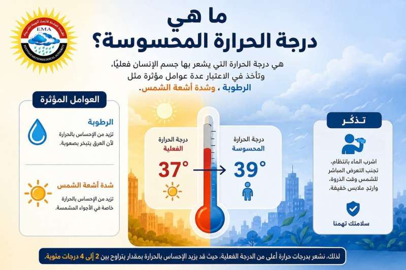 بوابة المصريين
