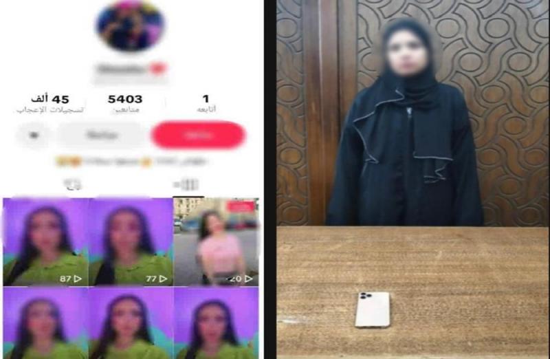 بوابة المصريين