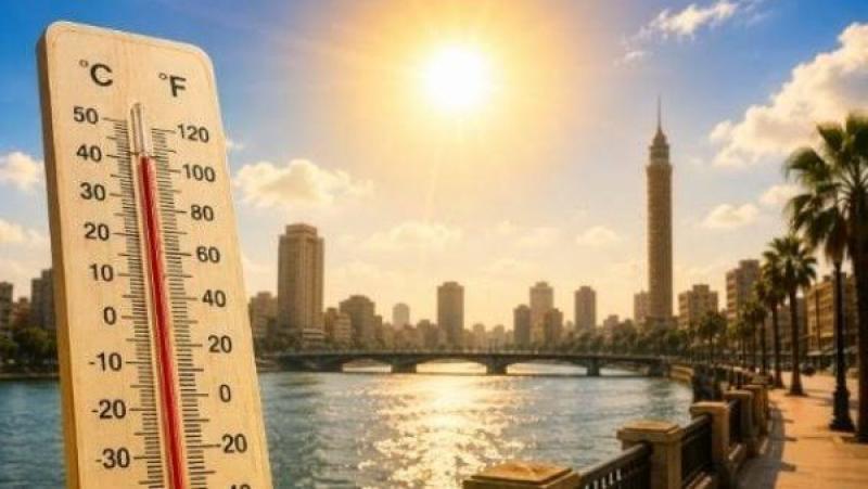 بوابة المصريين