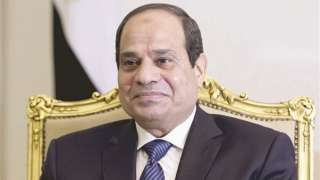 السيسي يشاهد عرضا جويا للطائرات المشاركة في مكافحة الإرهاب وتأمين قناة السويس